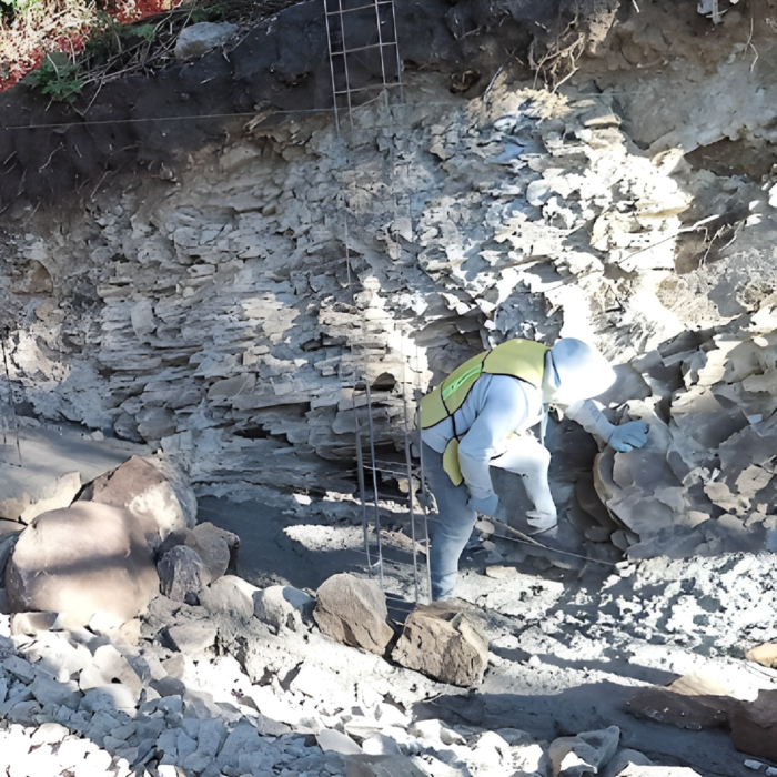 Proyecto por INCONTROL - constructora comercial e industrial - Obra civil muro perimetral y excavaciones